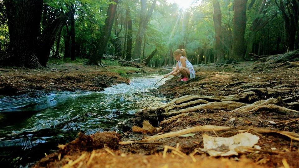 Termas Hotel Cristal Carhué Dış mekan fotoğraf